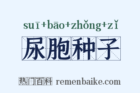 尿胞种子是什么意思的图片